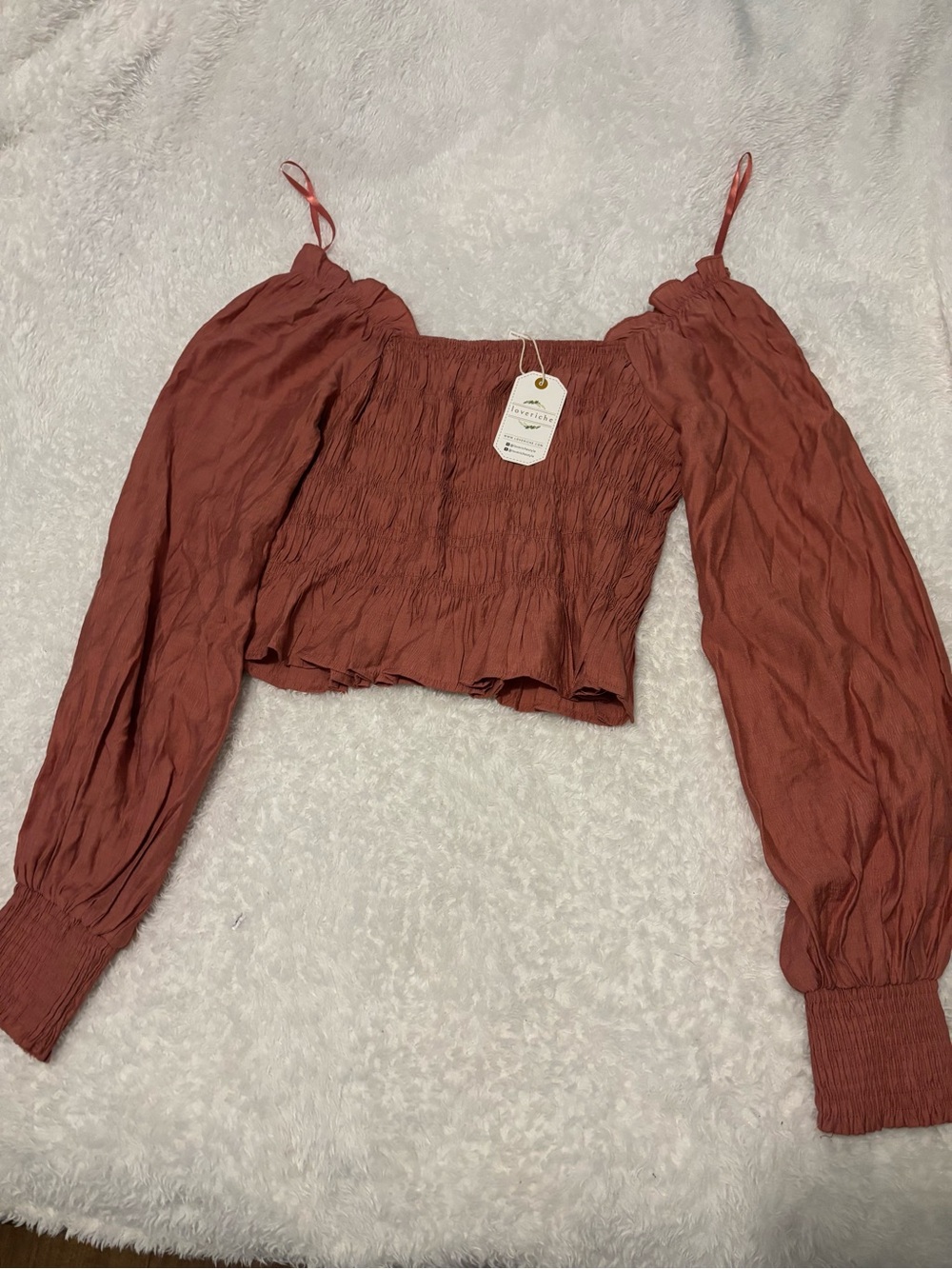 Love Riche Rust Smocked Off-Shoulder Crop Top
